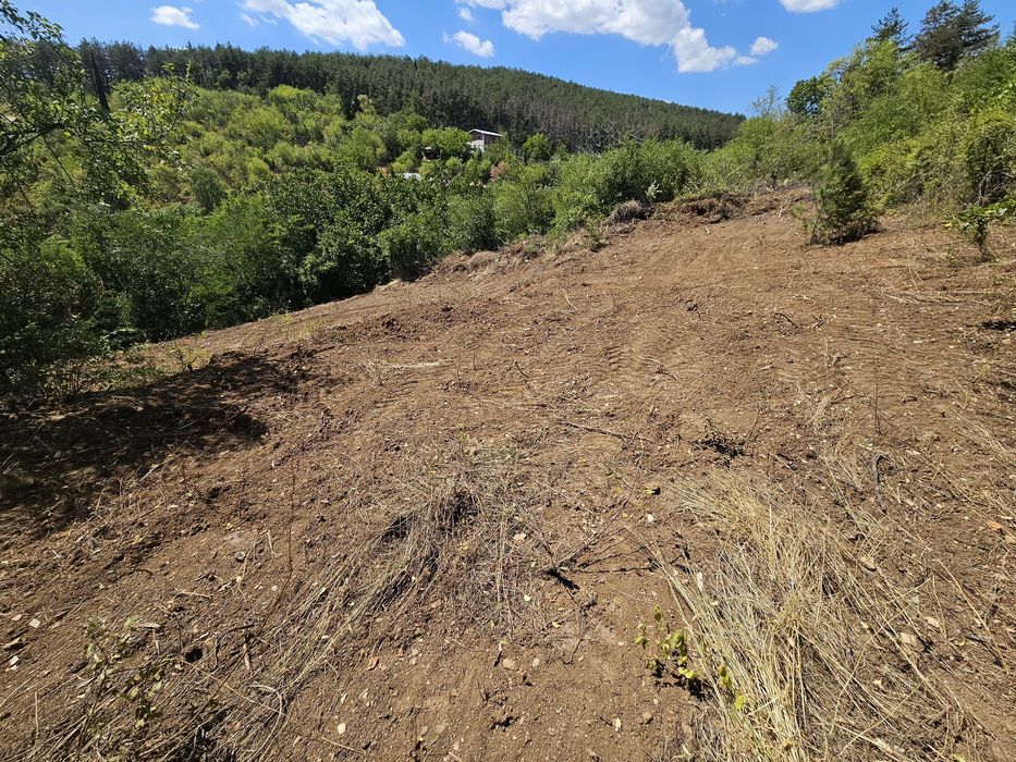 Панорамен парцел