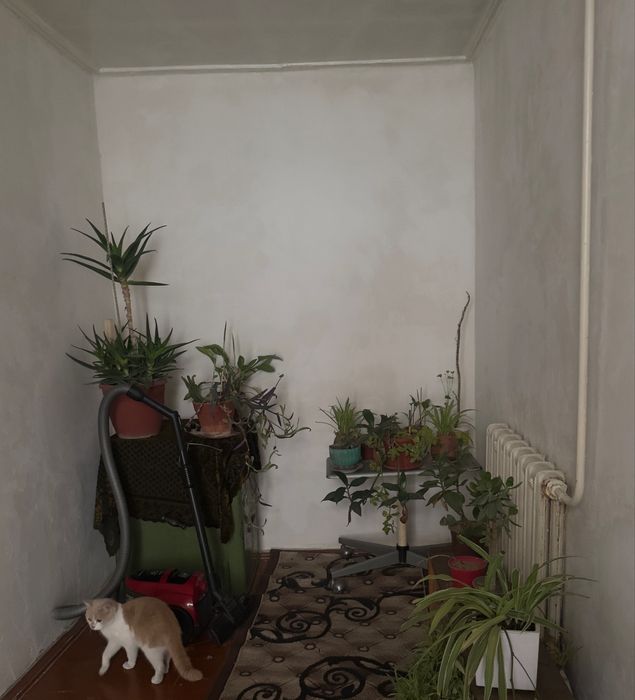 Продается дом/участок