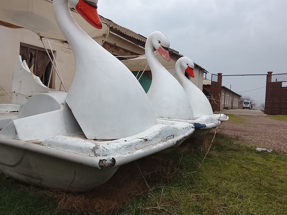 Катамаран соккани боладиган транспорт