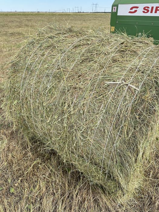 Сено в рулонах , разнотравие