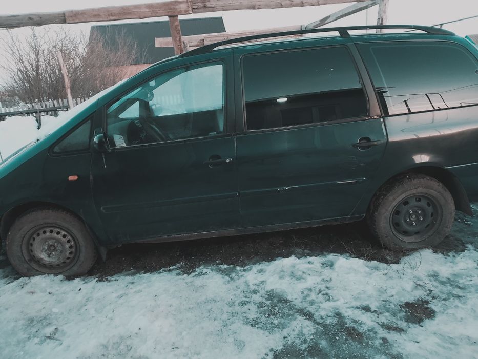 Шаран в нормальном состояний продается