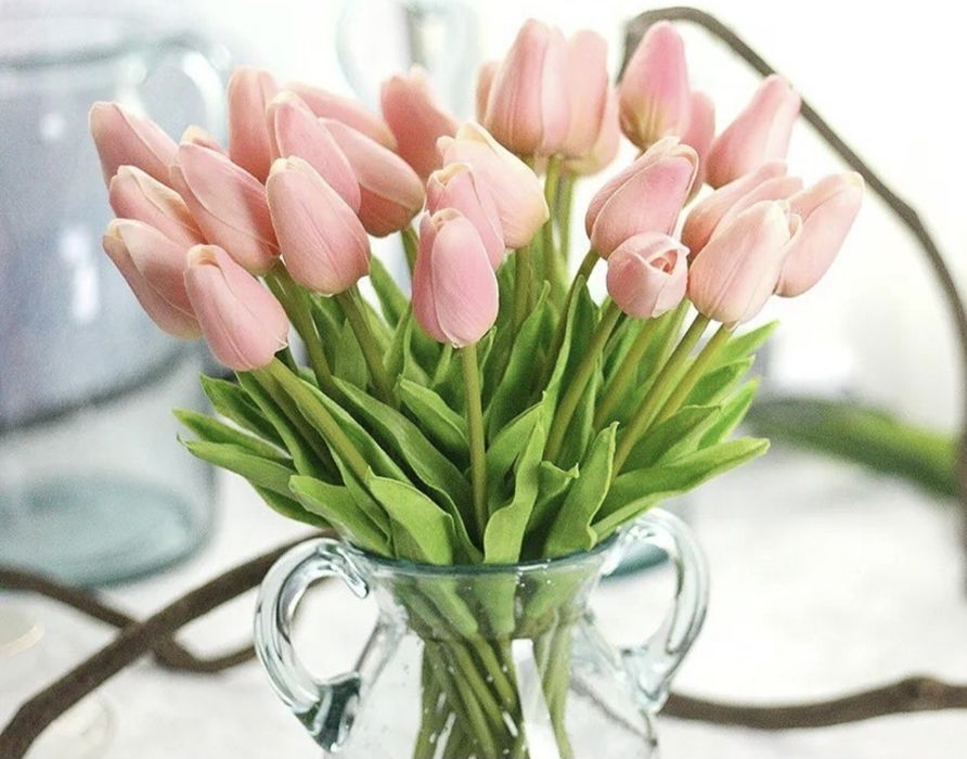 Лолалар 10та почкасида