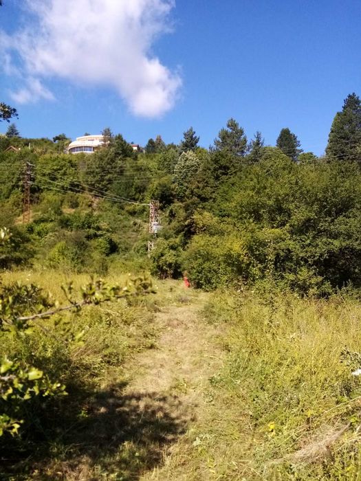 Продава се Парцел в София, Дружба 1 - 2000 кв.м за 175 €/кв.м - Снимка #3