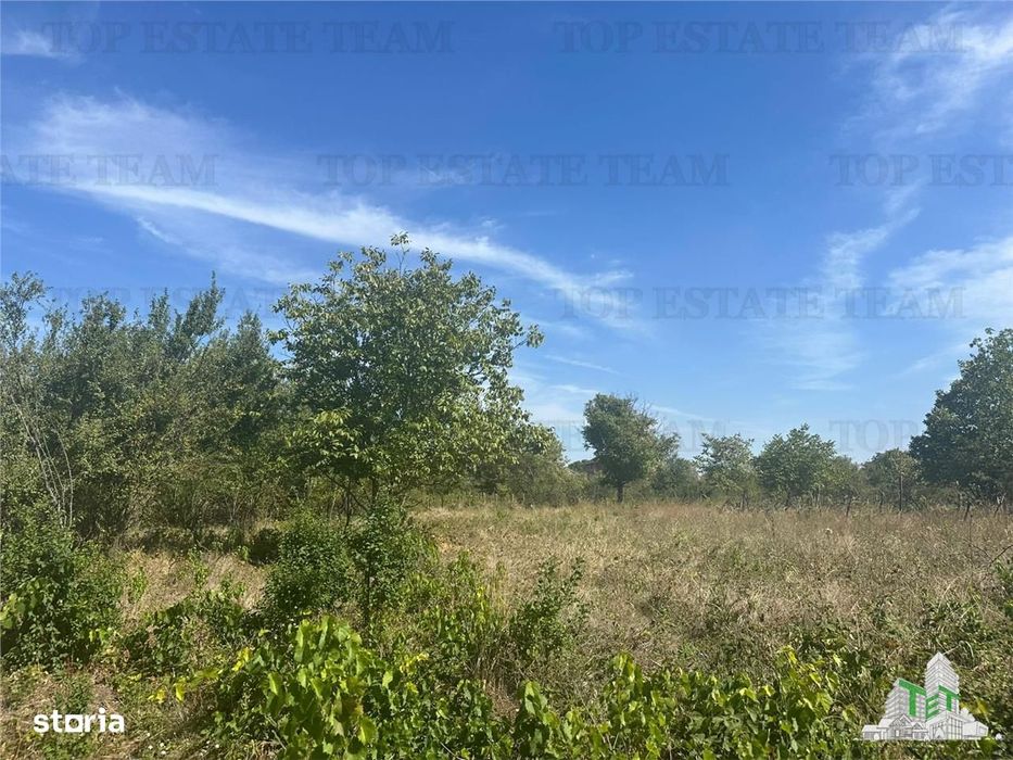 Vanzare teren intravilan construibil in Branesti, Ilfov – 2040 mp, ide