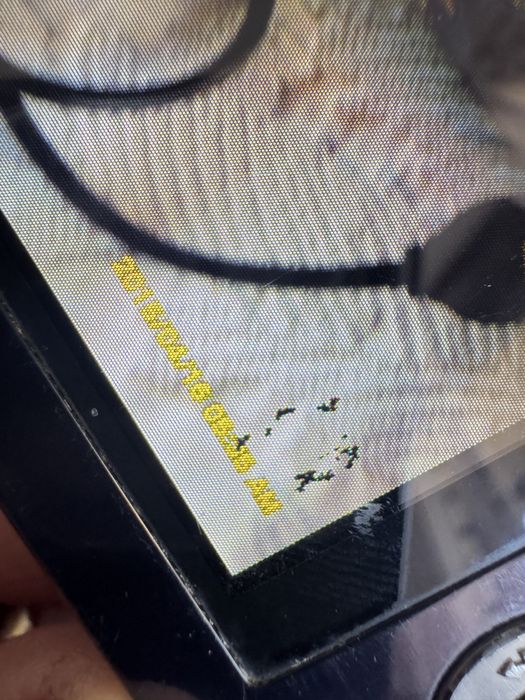 Aparat foto Samsung cu data si ora pe poza