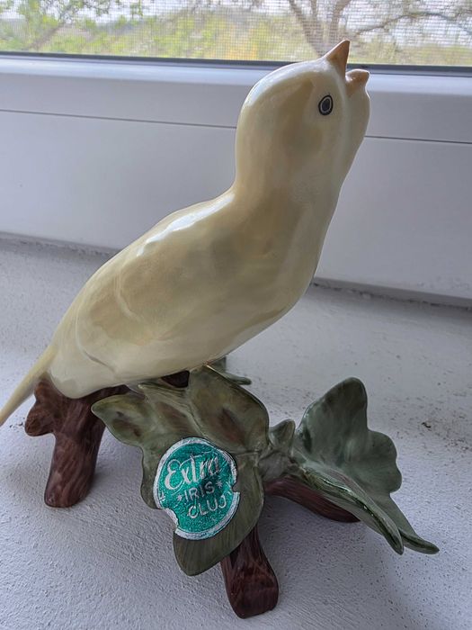 Bibelou Extra Iris Canar cantand