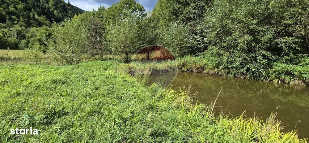 Teren de vis de 2.800 mp pe Valea Tărcăului – Cu lac natural și pădure