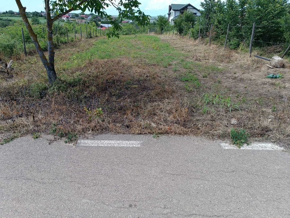 Teren intravilan Comana 900 metri