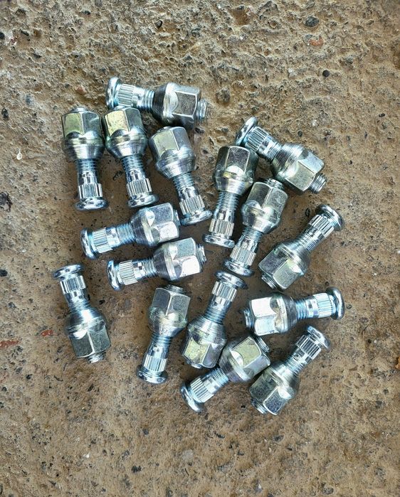 Jentra bolt gayka shpilka