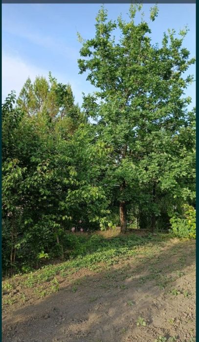 Продам дачу в районе " Келешек"