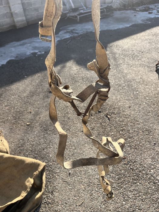 Продам ат саймандарын..