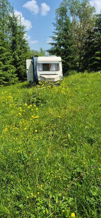 Teren intravilan în munții Apuseni jud Alba/Cluj