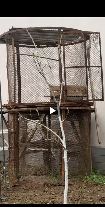 Клетка для курей кроликов