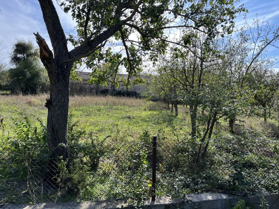 Продава се Къща в с. Медовина, Област Търговище - 150 кв.м за 734 €/кв.м - Снимка #5