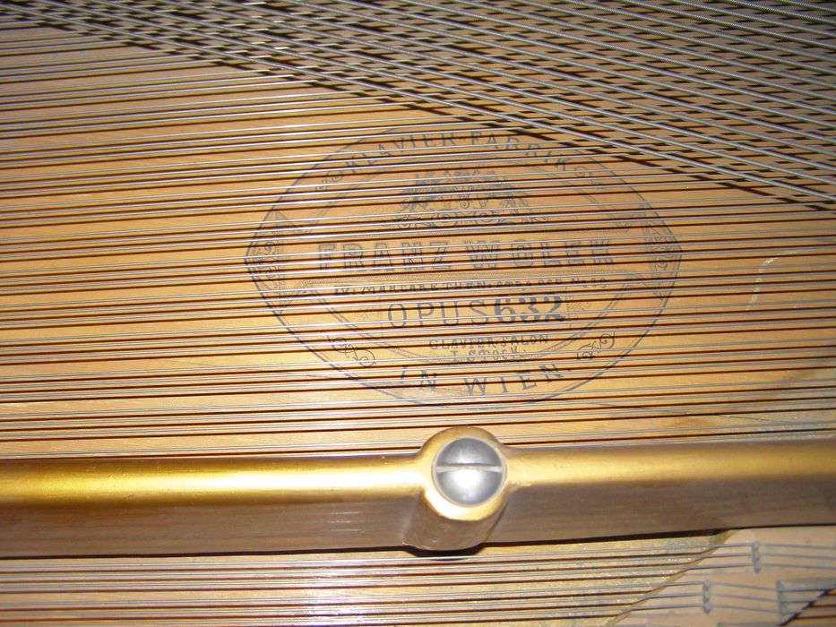 Pian Franz Wolek -Wien