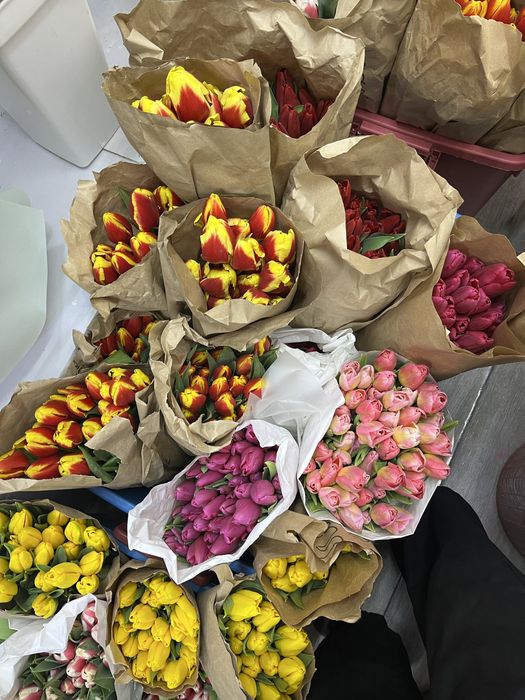 Астана Цветы Тюльпаны по 850тг