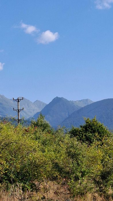 Vand teren extravilan, comuna Cartisoara jud Sibiu ( Transfagarasan), pe platoul superior, din proximitatea drumului Transfagarasan, la baza padurii..