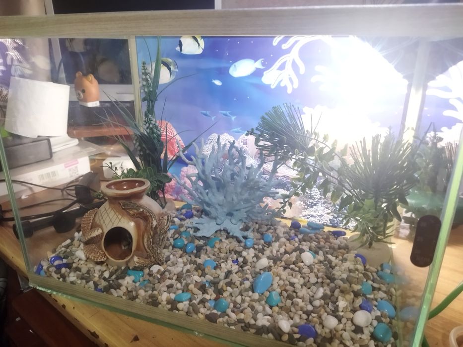 Продам аквариум с декорациями