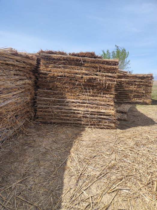 Камыс камыш мата