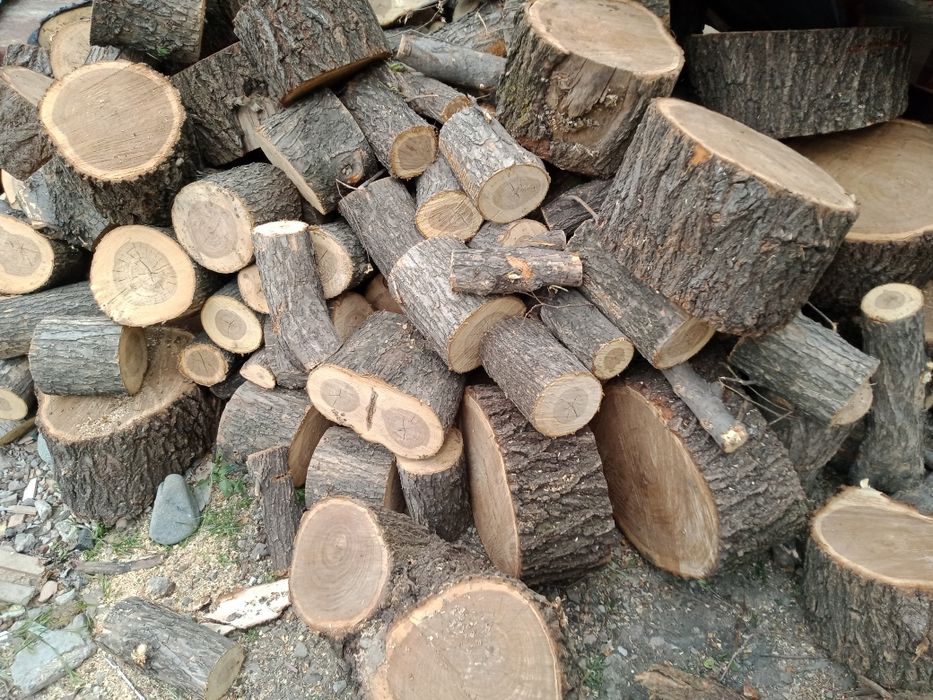 Продам сухие дрова карагач