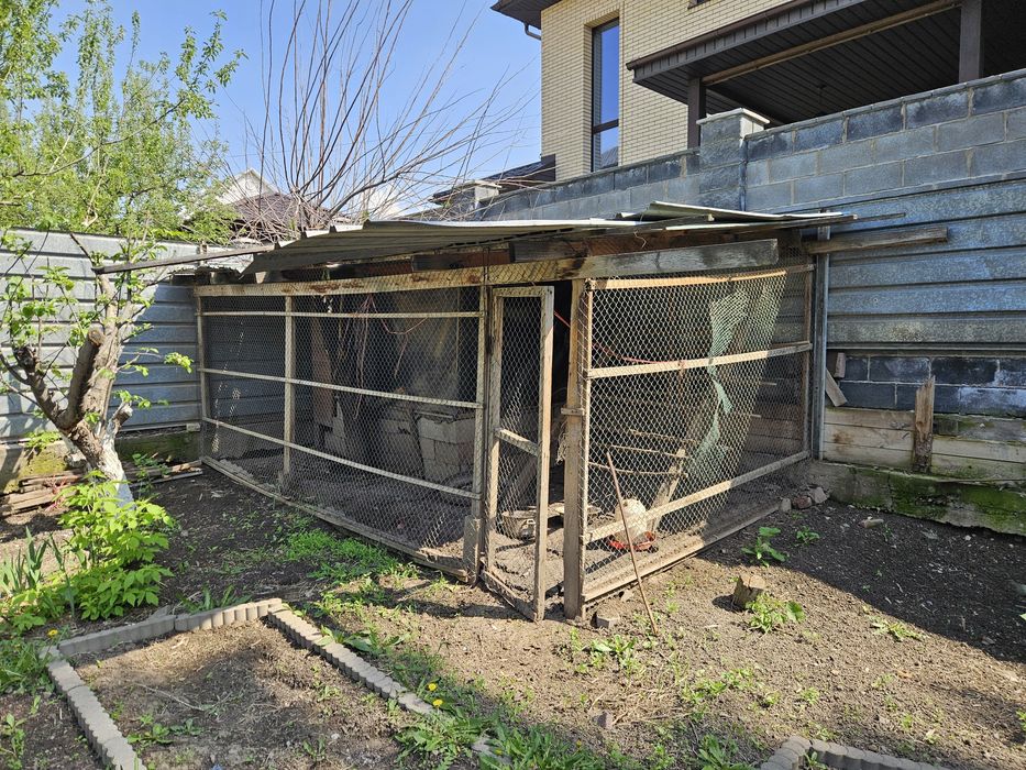 Курятник бесплатно