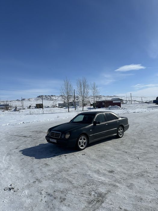 Мерседес лупарик