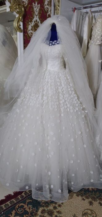 Kelin kóylaklar arzon narxda sotiladi