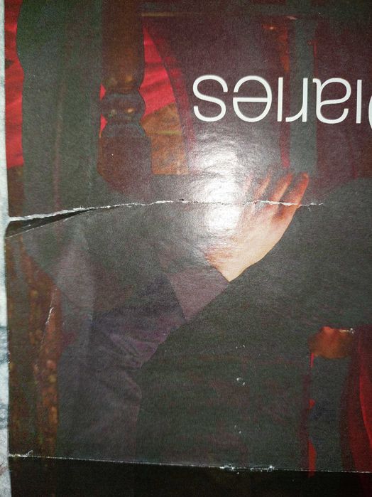 Poster The Vampire Diaries/ Big Bang