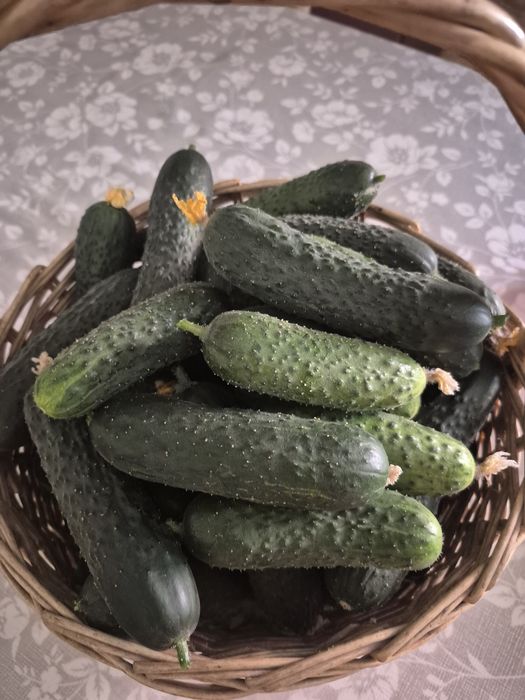 Продам овощи с огорда