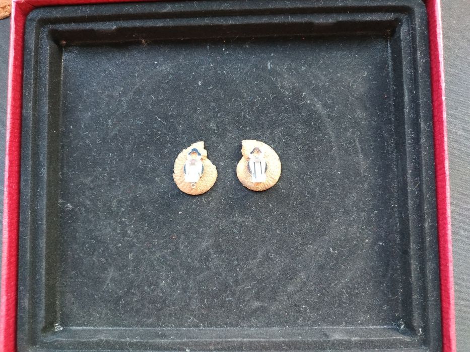 Брошка и обеци от естествени амонити-фосили, произход о. Мадагаскар