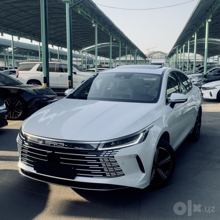 BYD chazor DM-i 120 km