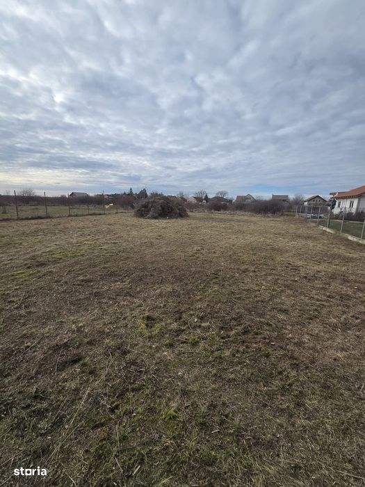 Loc de casa 500 mp, F.S. 20 ml, loc. Bodrogu Nou (com. Zadareni)