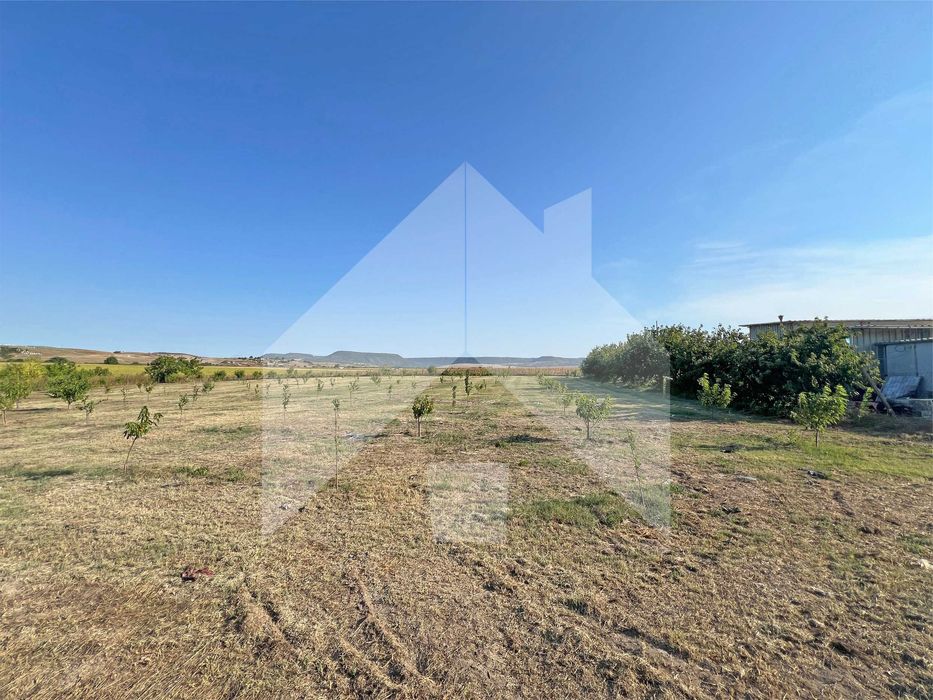 Продава се Земеделски имот в Нови пазар -  кв.м за 3643 €/дка - Снимка #4