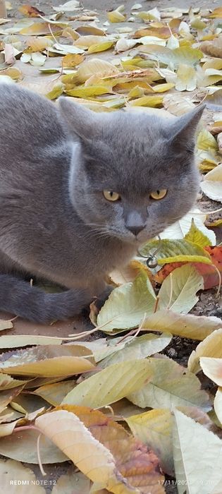 Qiz bilan yashirin kamera jinsiy aloqa