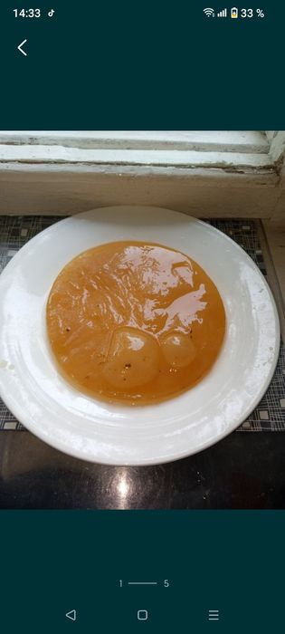 Чайный гриб В продаже