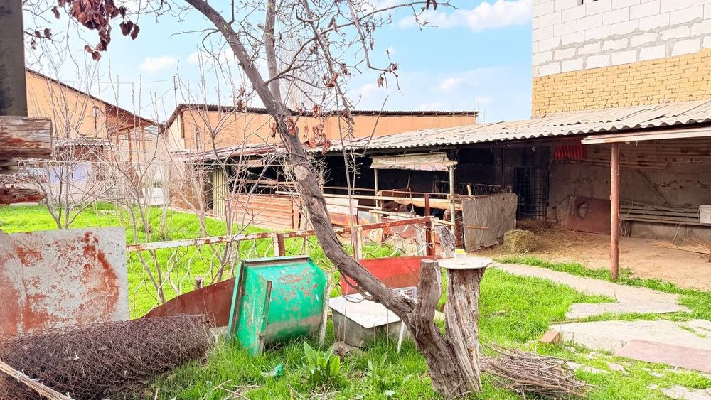 10 sotixli yer. Yangi Ozbekiston bogi