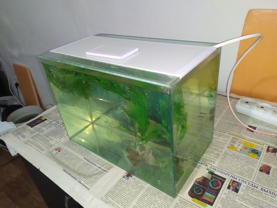 Аквариум 17л + бонусы и рыбки.