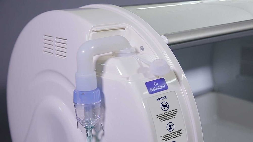 Incubator veterinar Rcom ICU MAX – recuperare câini, pisici, păsări, rozătoare – nou, garanție