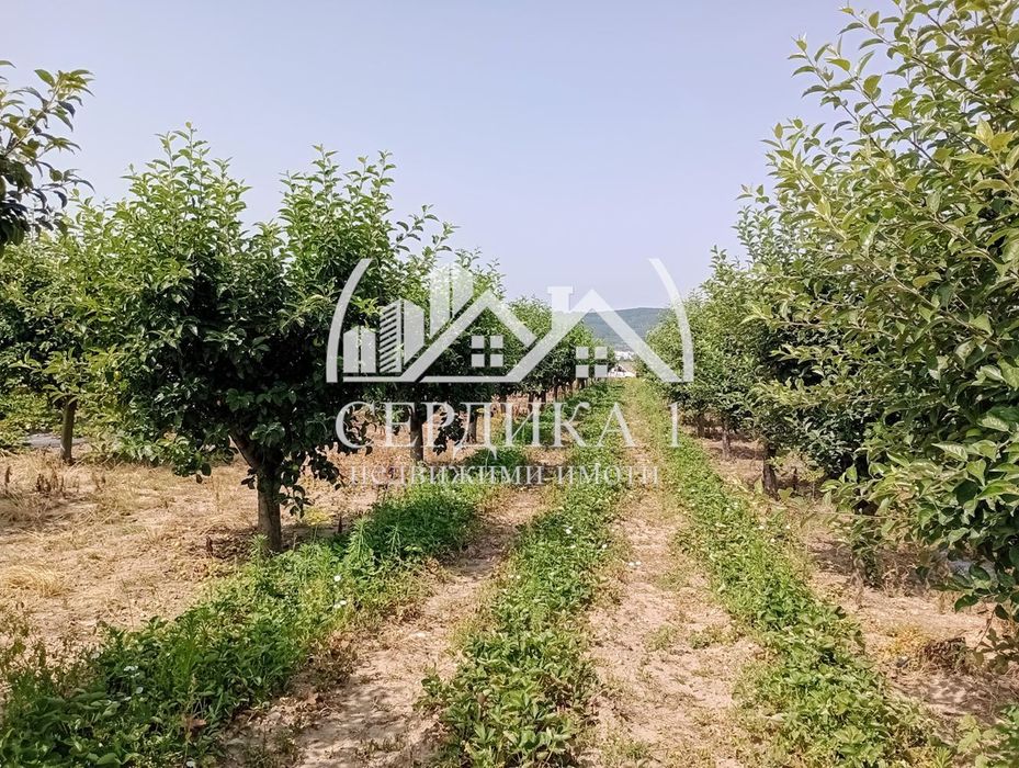 Продава се Парцел в Дупница - 2500 кв.м за 13 €/кв.м - Снимка #8