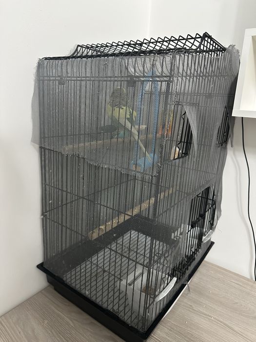 Продам попугаев с клеткой