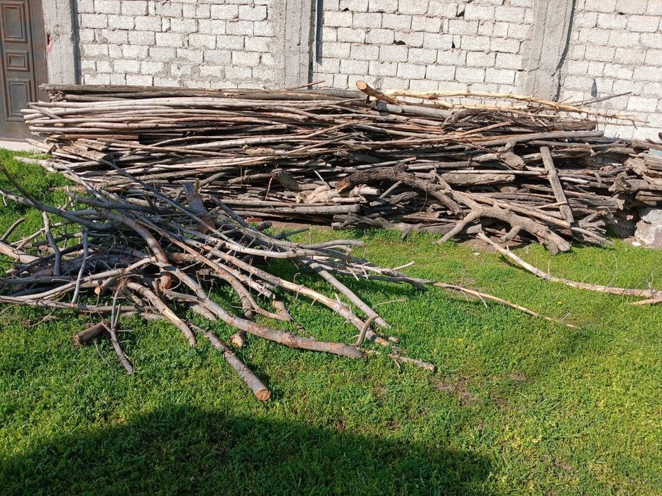 O'tin bor, somsachilar