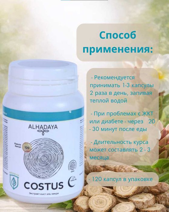Костус Costus ALHADAYA, в капсулах, для здоровья ЖКТ, 120 штук