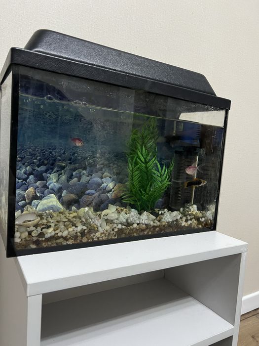 Аквариум 25 литров  с рыбками
