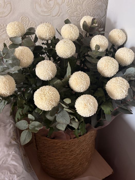 Продам срочно цветы