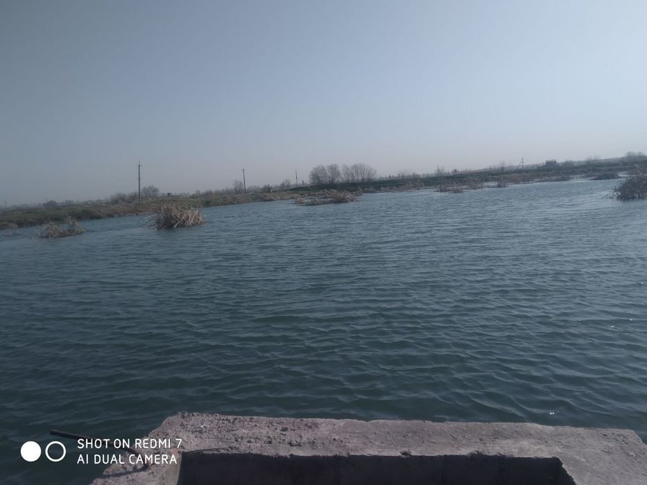 Тайёр 4 гектар уч нафар кули билан дарё куйнида сотилади