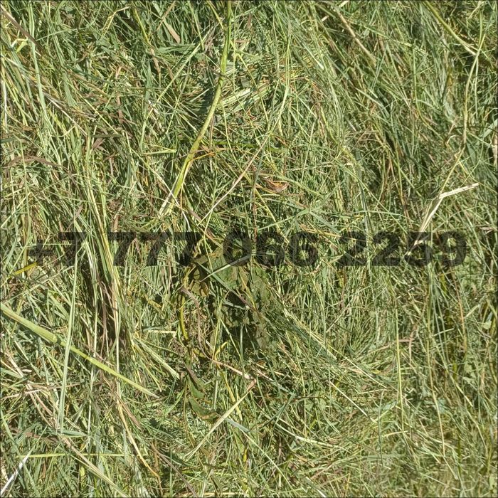 Продам сено луговое