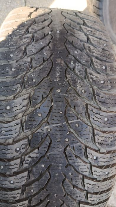 Автошина зимняя шиповоные