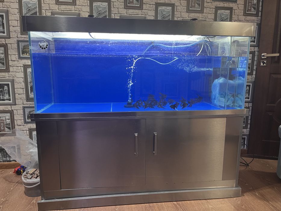 Akvaryum satiladi 3 mln ga berip jiberemen