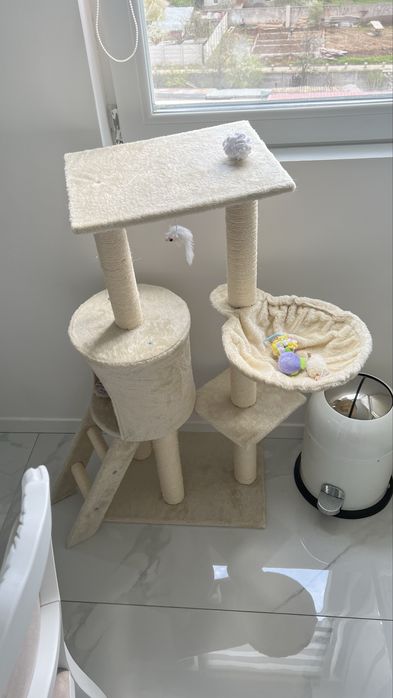 Ansamblu catarat pisici