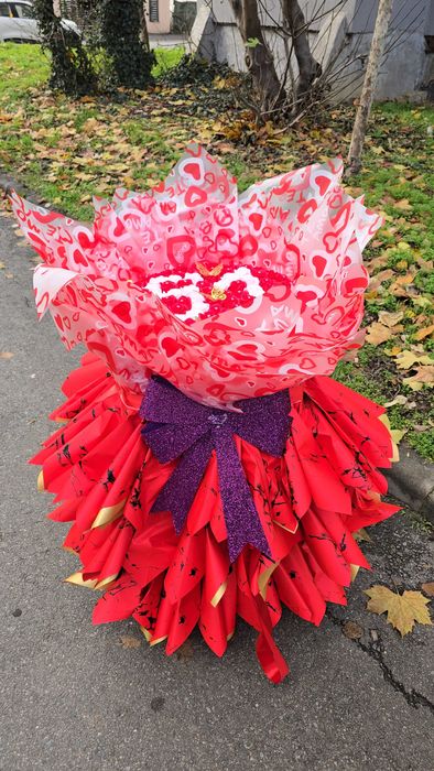 Surprize la Domiciliu Severin